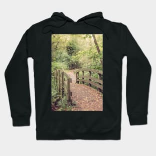 Path to the Bridge Hoodie